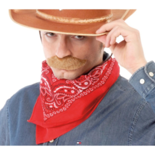 Cowboy Bandana Rød