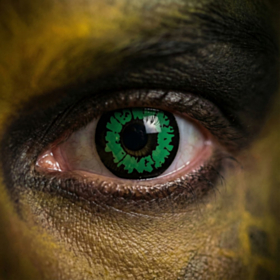 Kontaktlinser Reptil