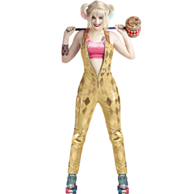 Birds Of Prey® Harley Quinn Kostume