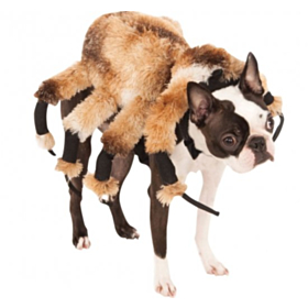 Edderkop Hundekostume