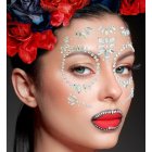 Dia de los Muertos Ansigtskrystaller Diamant