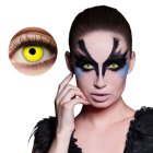 Gule Halloweenlinser