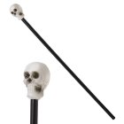 Skelet Stok