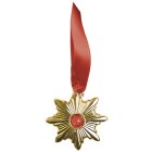 Dracula Medaljon