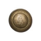 Wonder Woman® Skjold