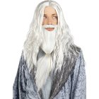 Harry Potter® Dumbledore Paryk & Skæg