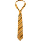 Harry Potter® Hufflepuff Slips & Badge