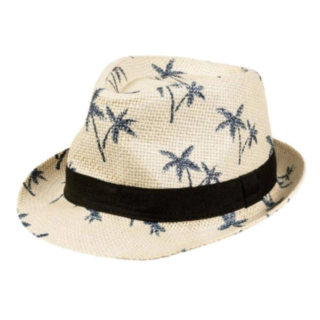 Palme Hat