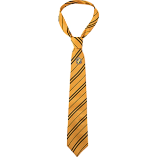 Harry Potter® Hufflepuff Slips & Badge