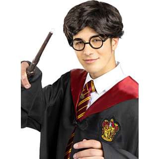 Harry Potter® Paryk