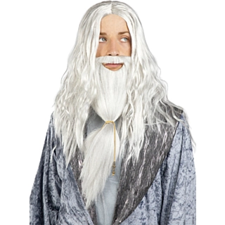 Harry Potter® Dumbledore Paryk & Skæg