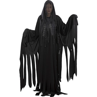 Harry Potter® Dementor Kostume