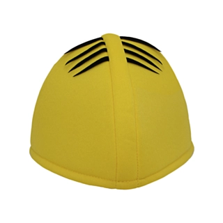 Minions® Hue