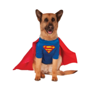 Superman® Hundekostume