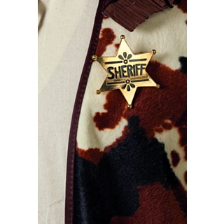Sherifstjerne Guld