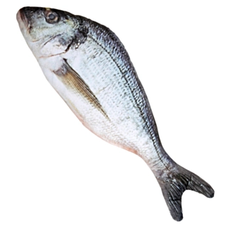 Kunstig Fisk