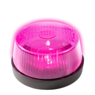 Sirenelys Pink