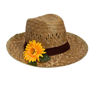 Farmerhat