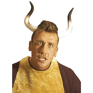Tyrehorn