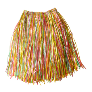 Farverig Hula Skørt