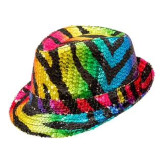 Zebrastribet Fedora Hat Regnbue