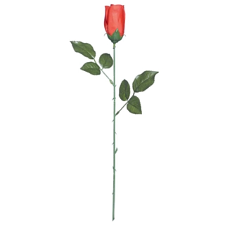Lang rød rose