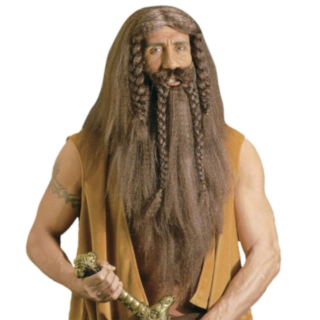 Langt Viking Skæg & Paryk