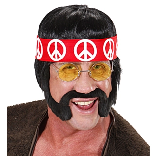 Hippieparyk & Skæg