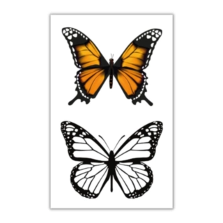 Sommerfugl Falske Tatoveringer Orange