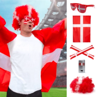 Danmark Roligan Fankit